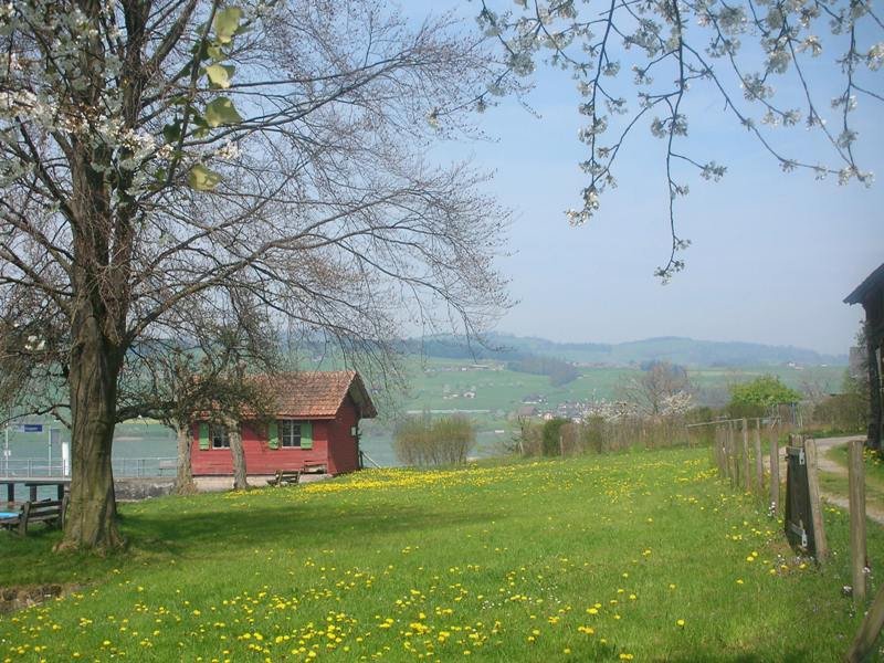 Ansegeln-2010